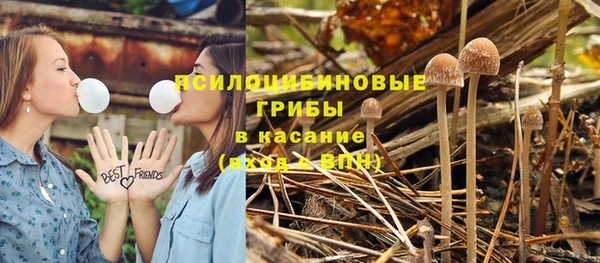 apvp Струнино