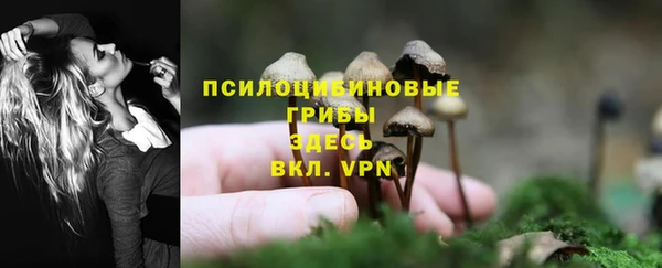 apvp Струнино