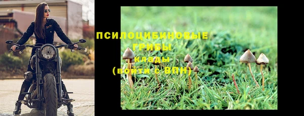 apvp Струнино
