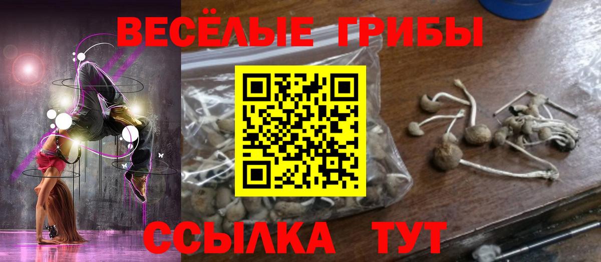 Галлюциногенные грибы Psilocybine cubensis  Усть-Кут 