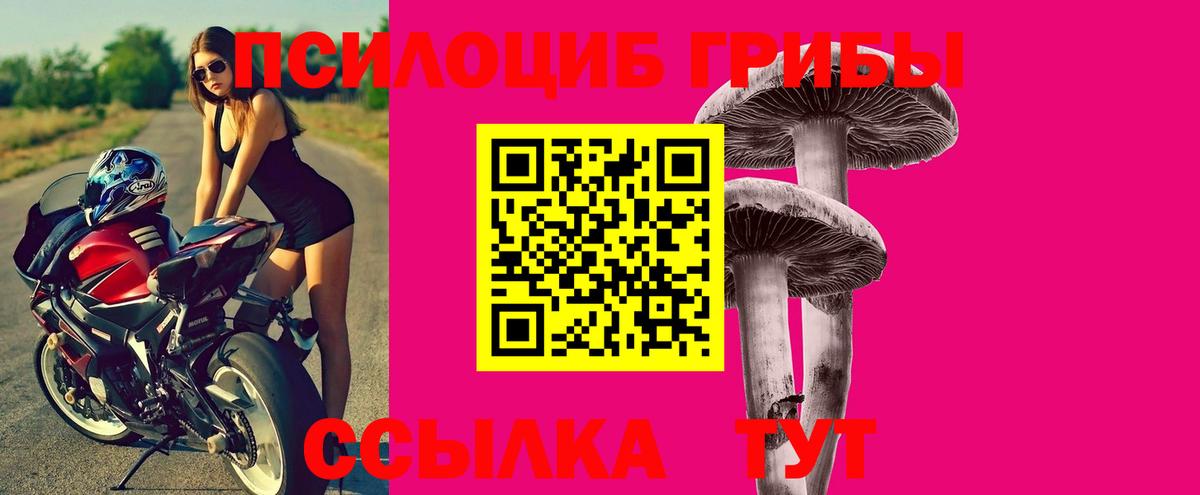 Псилоцибиновые грибы Psilocybe Усть-Кут
