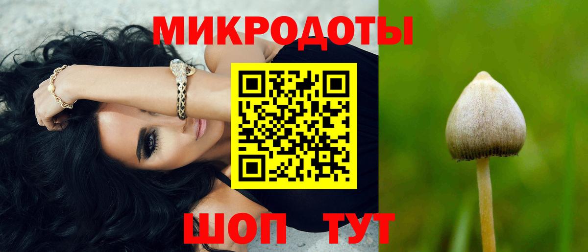 Галлюциногенные грибы прущие грибы Усть-Кут